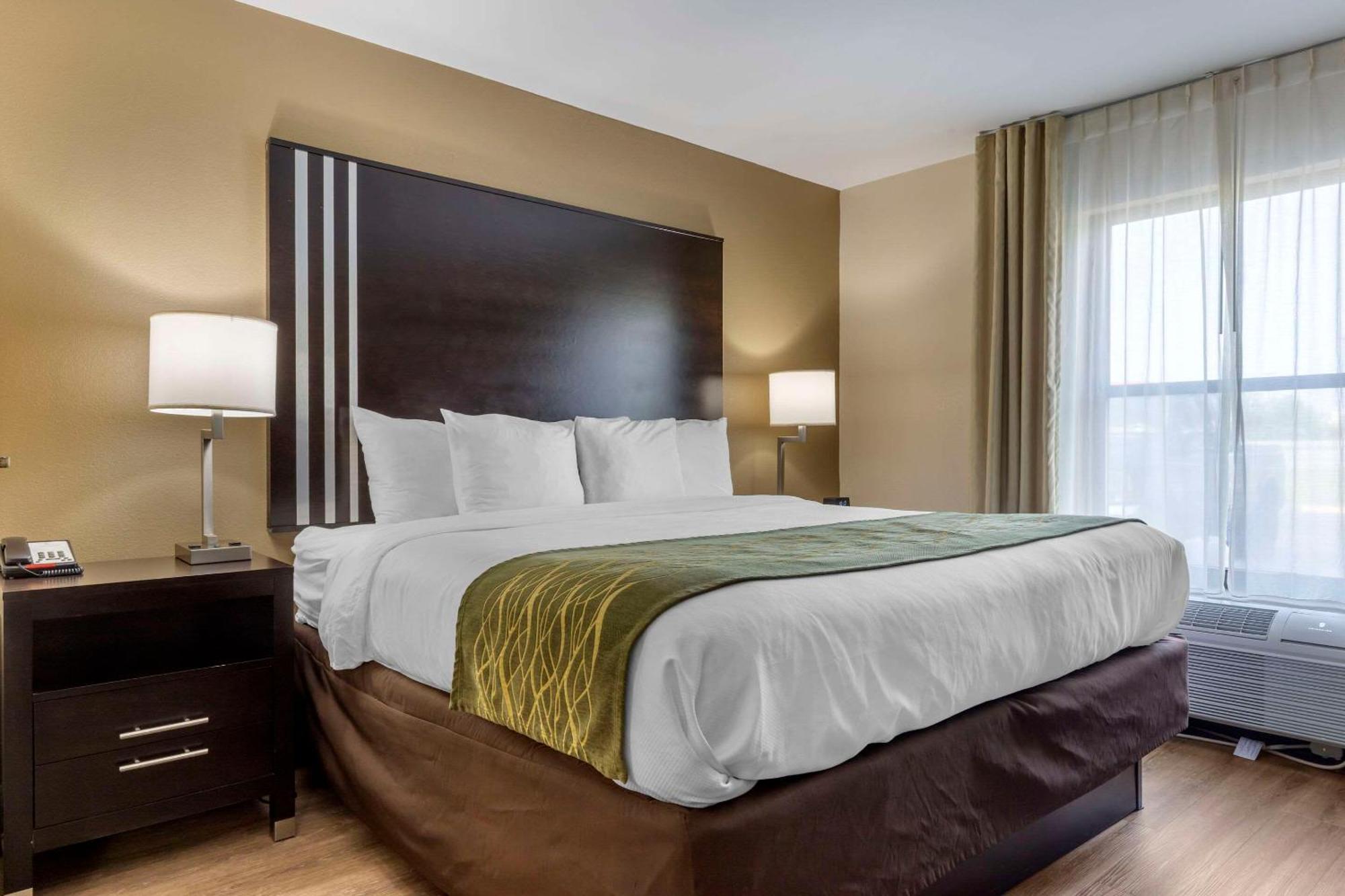 Comfort Inn Near Downtown & Blue Ridge Pkwy Marion Exteriér fotografie