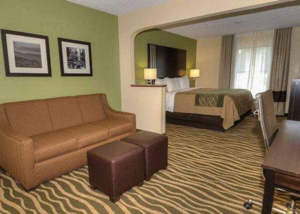 Comfort Inn Near Downtown & Blue Ridge Pkwy Marion Pokoj fotografie